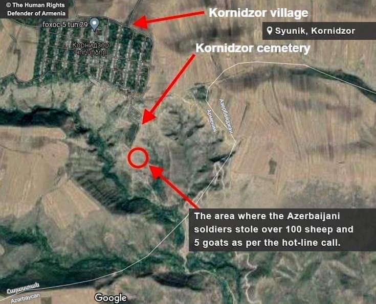 Ադրբեջանական զինծառայողները հափշտակել են Կոռնիձորի բնակչի պատկանող 107 ոչխար և 5 այծ. ՄԻՊ