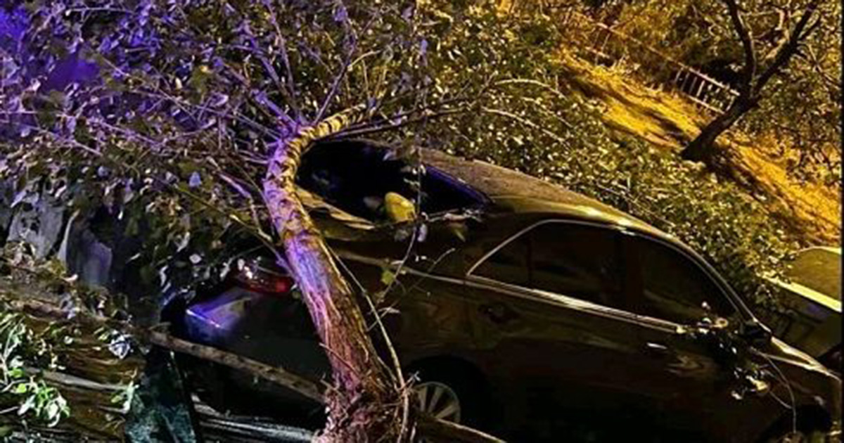 Երևանում ծառի ճյուղը կոտրվել և ընկել է ավտոմեքենայի վրա․ ԱԻՆ