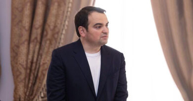 Գործ սարքող թագավորի հեքիաթը. Նարեկ Կարապետյան (տեսանյութ)