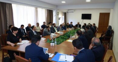 Հայաստանն ու Իրանը քննարկել են սահմանային թողունակության աճի հարցերը