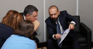 Միրզոյանը և Ցիցիկոստասը քննարկել են փոխշահավետ համագործակցության հարցեր