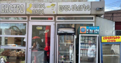 Կասեցվել է Գյումրու «Համով հոտով» արագ սննդի կետի գործունեությունը