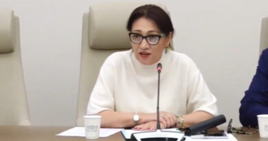 Արցախից բռնի տեղահանվածների խնդիրներն այնքան լուրջ են, որ ամենօրյա ուշադրություն և լուծում են պահանջում․ Լիլիթ Գալստյան
